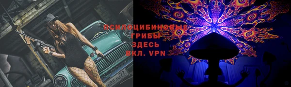 гашик Остров