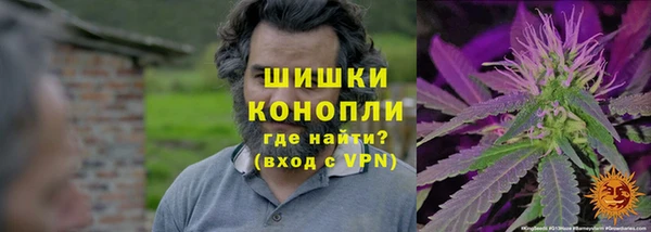 PSILOCYBIN Елабуга