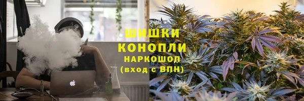 PSILOCYBIN Елабуга