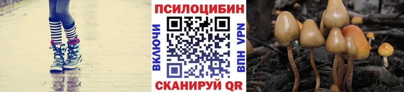 Псилоцибиновые грибы мухоморы  что такое   Ипатово 