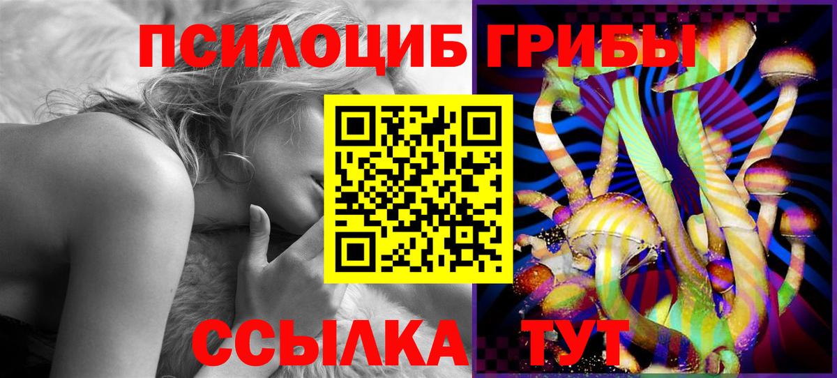 Галлюциногенные грибы Psilocybe  Вход с VPN  Ипатово 