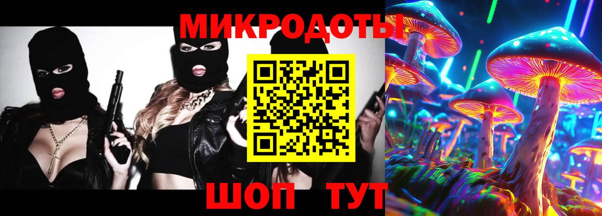 Галлюциногенные грибы Psilocybine cubensis Ипатово
